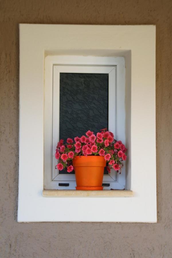 Nikoleta'S Studios Argostoli  Exterior photo